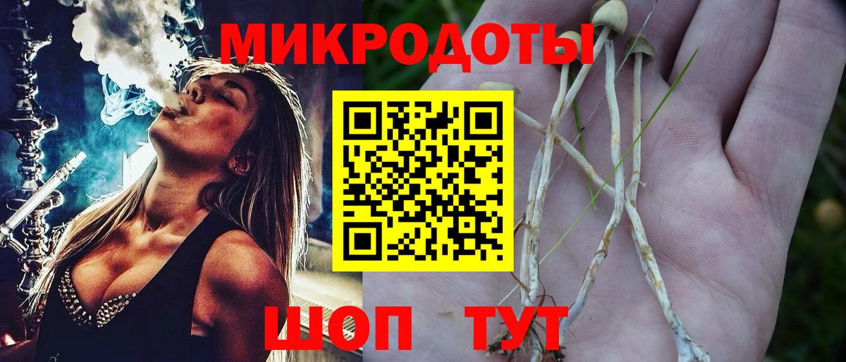Галлюциногенные грибы Psilocybine cubensis Лысьва